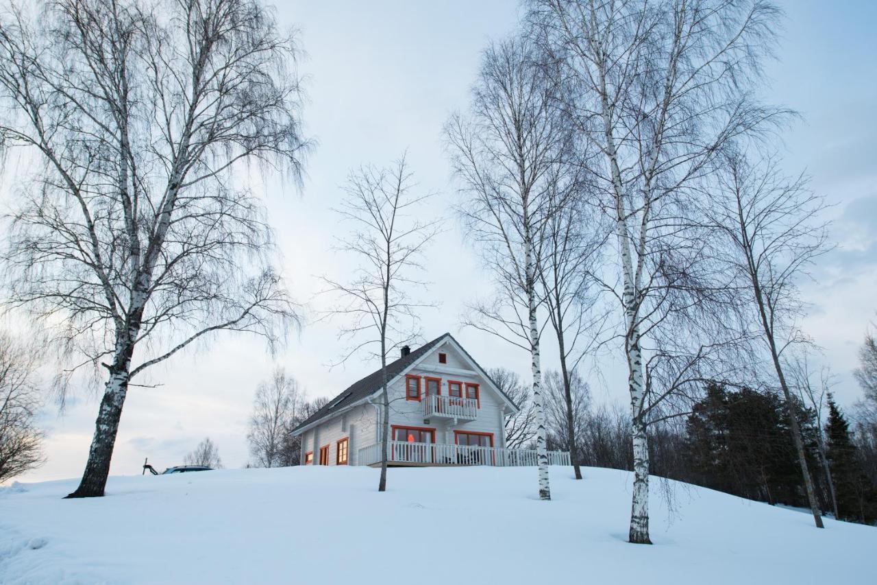 Vasekoja Holiday Center Vahtseliina Extérieur photo